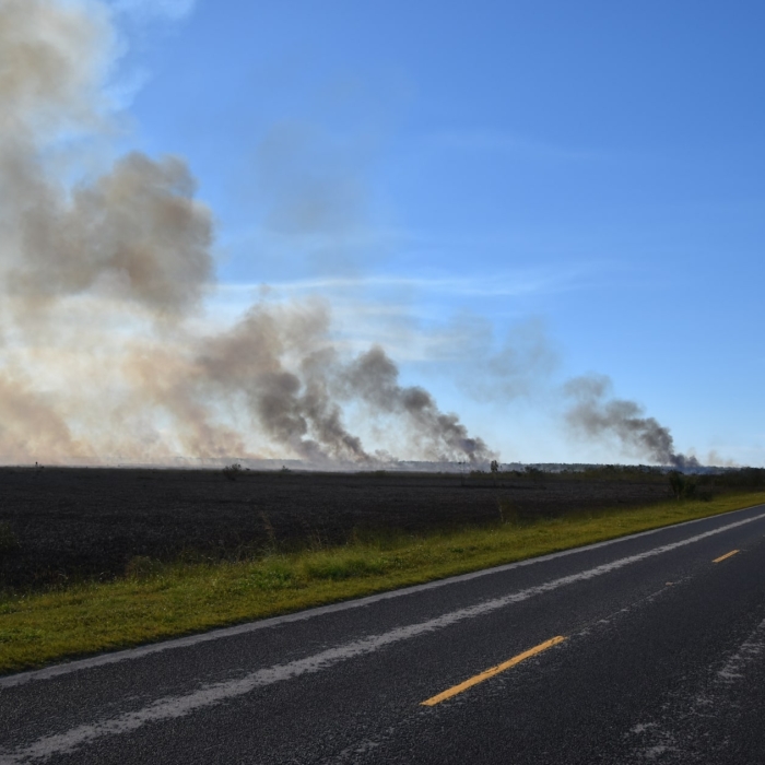 Everglades National Park Prescribed Burns