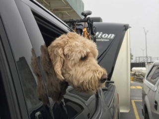 Even Hurley Finds it Intresting